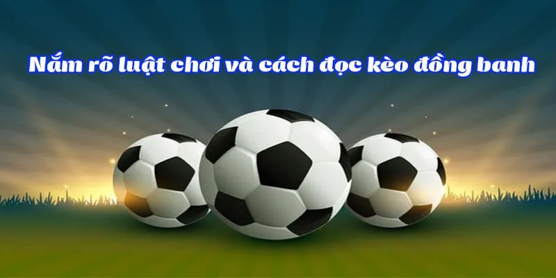 Kèo Đồng Banh Là Gì Và Hướng Dẫn Bắt Hiệu Quả Cho Tân Binh